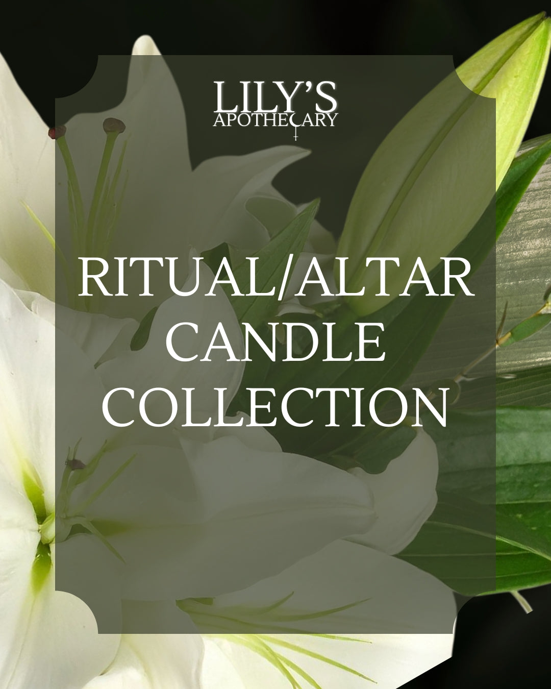 Ritual/Altar Candle Collection