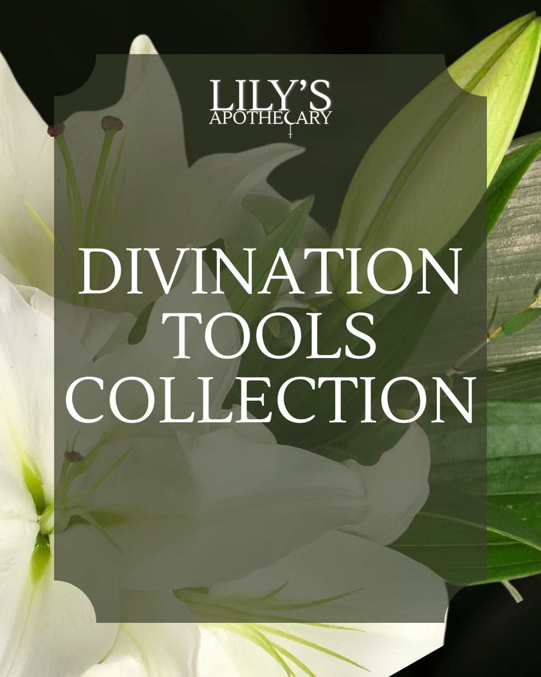 Divination Tools Collection