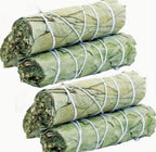 Eucalyptus bundle