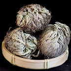 Rose of Jericho