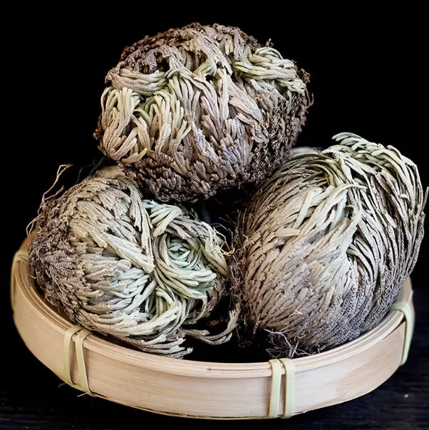 Rose of Jericho